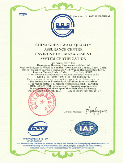 环境管理体系认证证书英文版